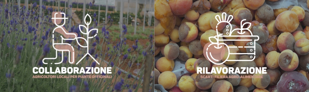 Areaderma_upcycling